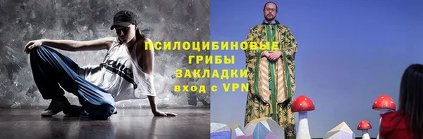 молекула духа Ладушкин