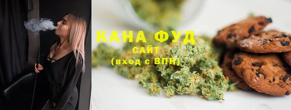 молекула духа Ладушкин
