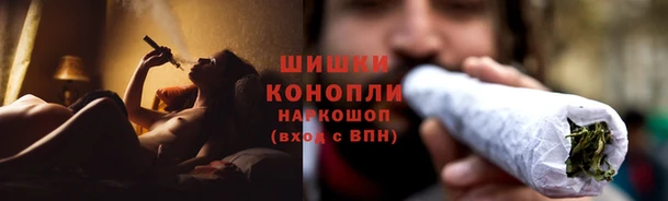 каннабис Лабытнанги