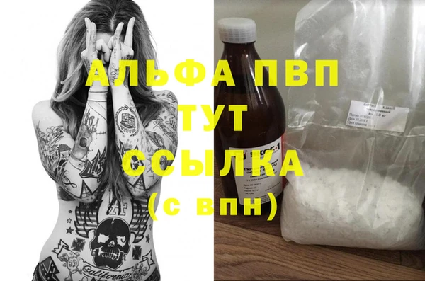 молекула духа Ладушкин