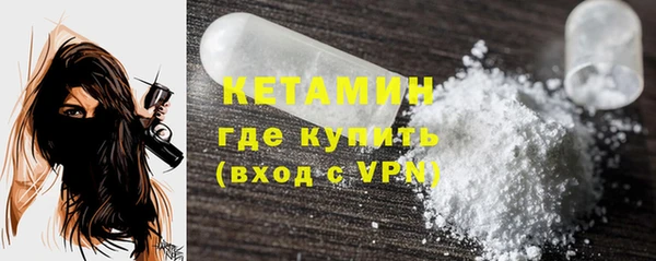 молекула духа Ладушкин