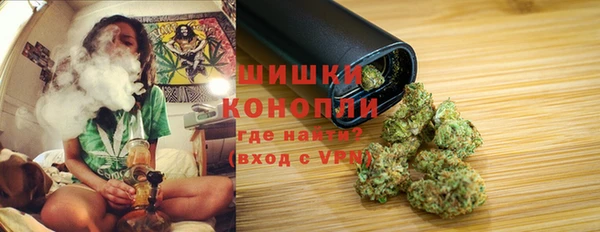 молекула духа Ладушкин