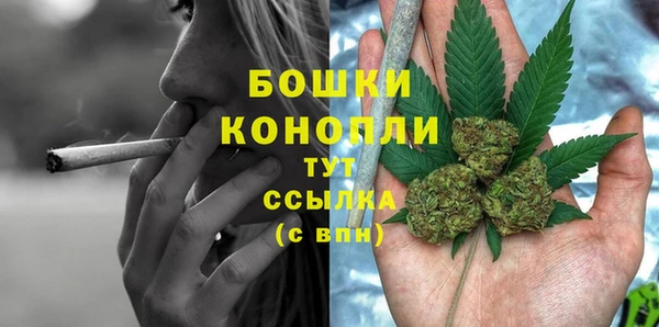 молекула духа Ладушкин