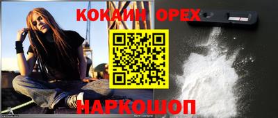 индика Камышлов