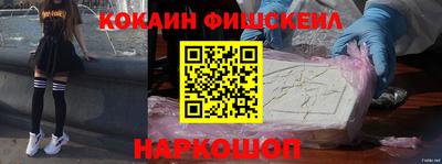 индика Камышлов
