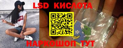 индика Камышлов