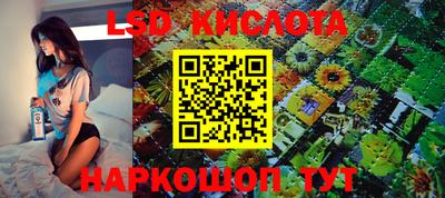 индика Камышлов
