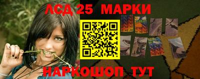 индика Камышлов