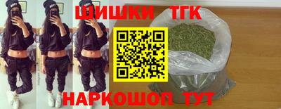 индика Камышлов