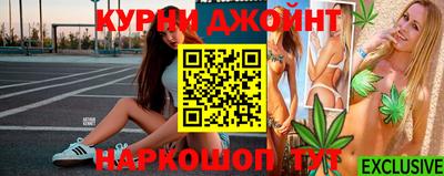 индика Камышлов