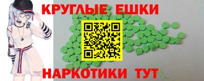 индика Камышлов