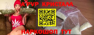 индика Камышлов