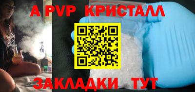 индика Камышлов