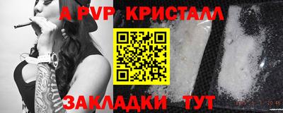 индика Камышлов