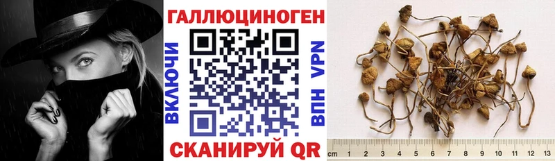 Псилоцибиновые грибы GOLDEN TEACHER  Чапаевск 
