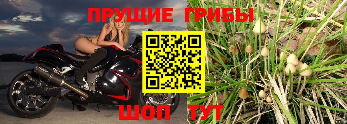 Галлюциногенные грибы мицелий Чапаевск