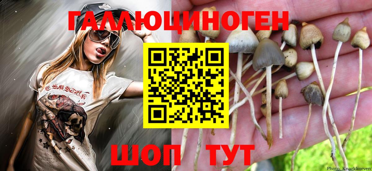 закладка  Псилоцибиновые грибы MAGIC MUSHROOMS  Чапаевск  Вход с VPN  Псилоцибиновые грибы ЛСД 